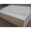 15 mm 18 mm blanc EV Eucalyptus Core Plywood